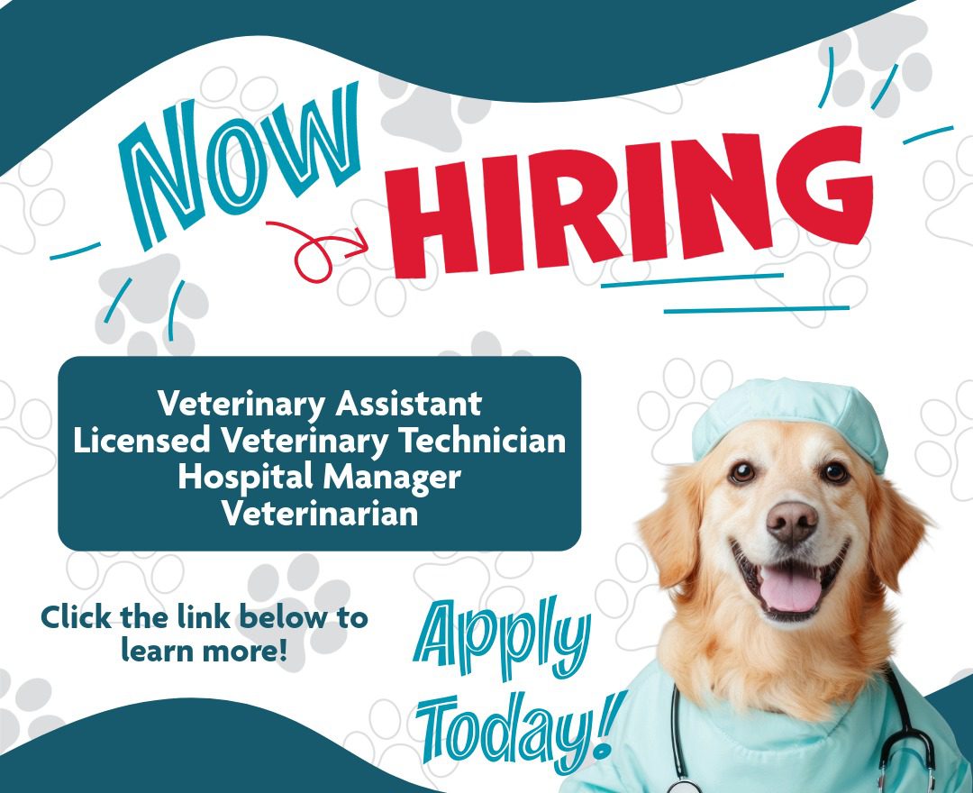 Now Hiring Pop Up Graphic 2 (1)